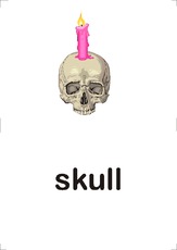 skull.pdf